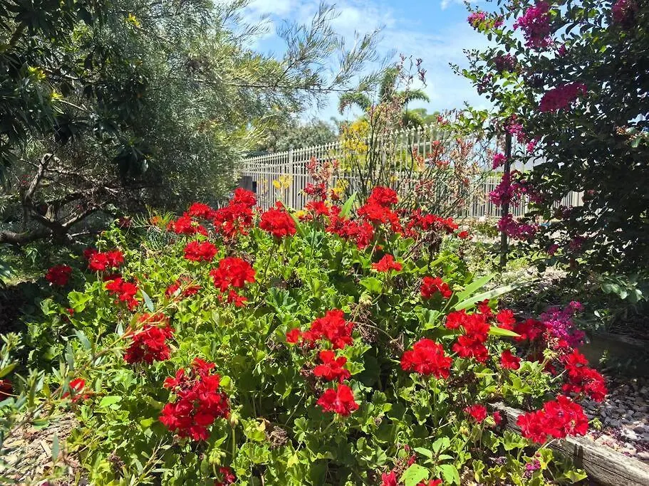 Gardens By The Bay - Acreage Living & Ev Charging Villa Deception Bay Australië